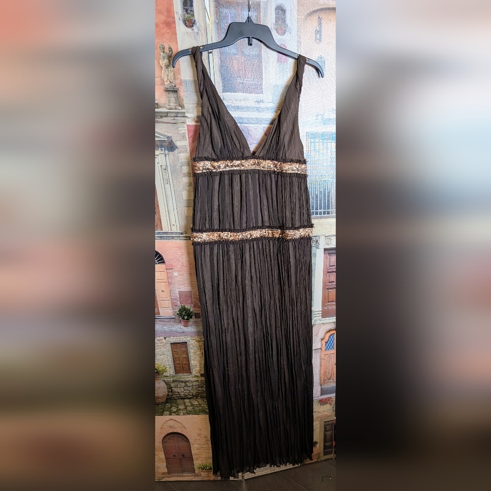 Elegant Brown Gown with Gold Accents NWOT